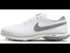 Nike 高爾夫球鞋 Air ZM Victory Tour 3 Boa Wide 男鞋 女鞋 寬楦 白灰