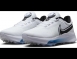 Nike 高爾夫球鞋 Air ZM Infinity TR Next% Boa 寬楦 男鞋 白 防潑水